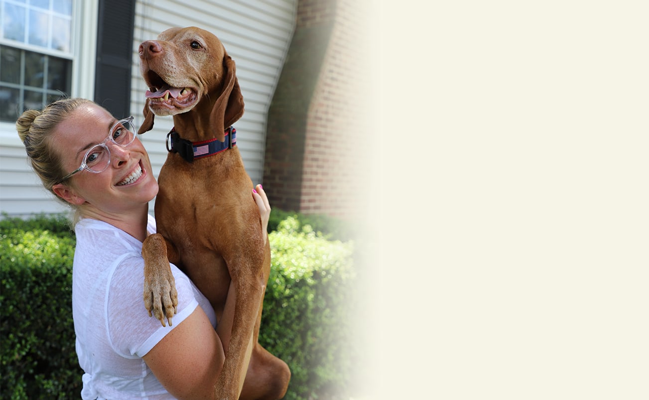 Dolomiti eyewear banner